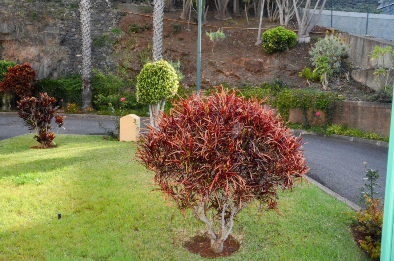 Vista Formosa Funchal Apartment Exterior photo